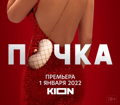 Kidney